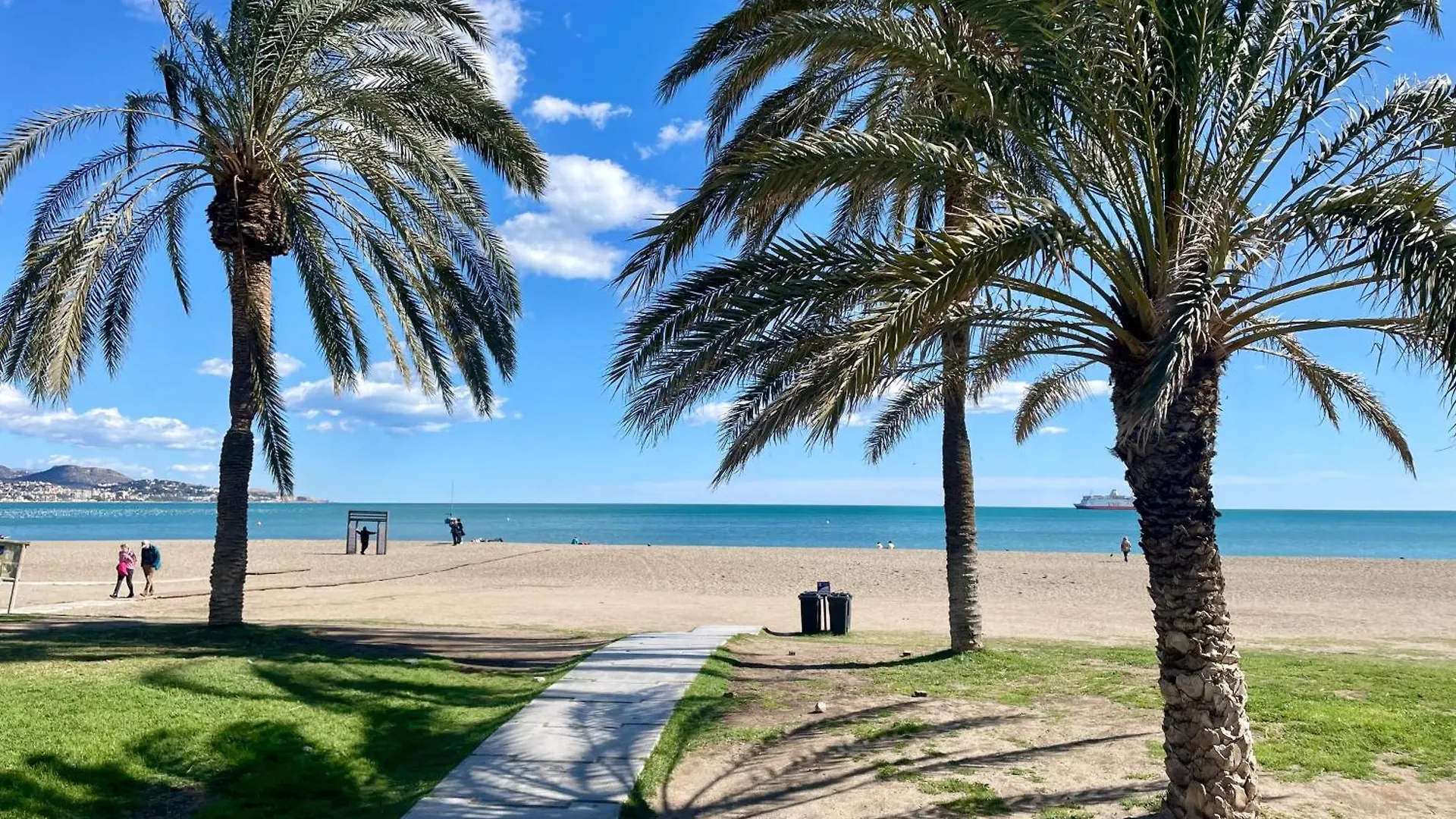 Estudio En El Centro De Malaga Spain